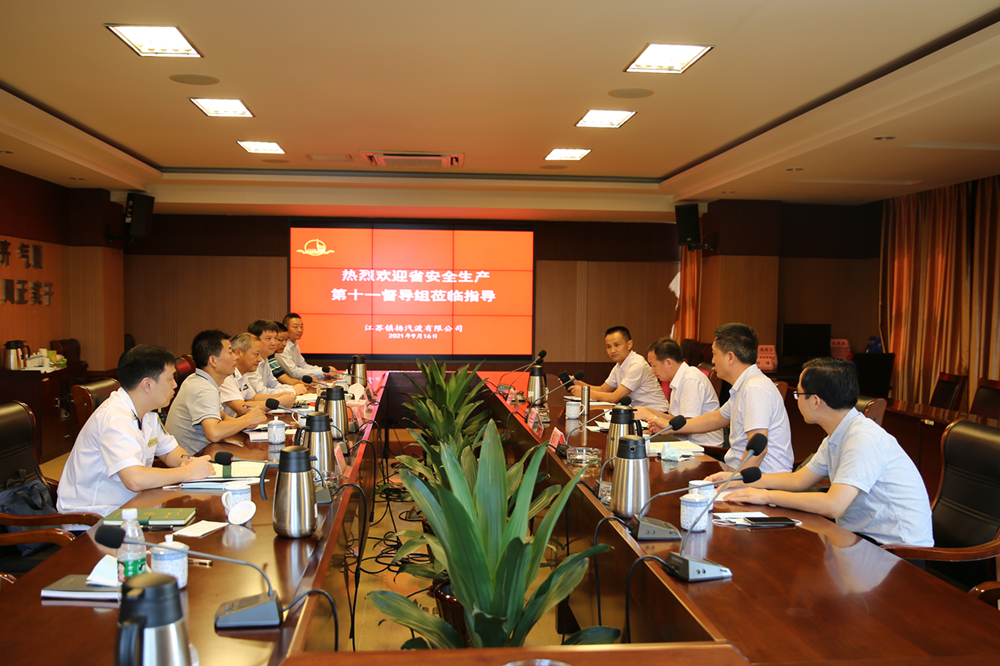 江蘇省安全生產(chǎn)第十一督導(dǎo)組一行赴公司檢查督導(dǎo)安全生產(chǎn)工作 (圖1)